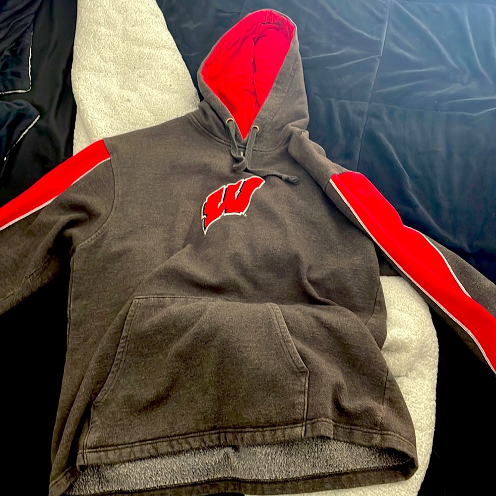 Wisconsin badgers hoodie